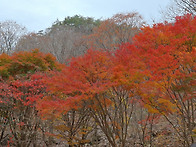 강천산 산행