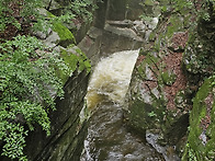 두타산 정기산행 - 2