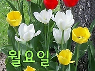 해피 월요일!