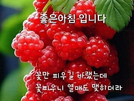 상큼한 하루