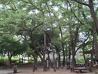 새벽산행의 즐거움
