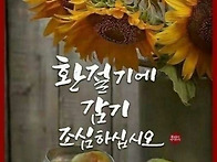 이번주 바쁘시더라도