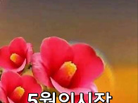 가정의 달 5월이네요