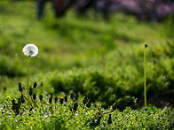 [11월 3일] 살아있는 매일..