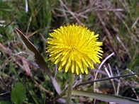 [11월 5일] 살아있는 매일..