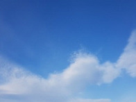 [11월 2일] 살아있는 매일..