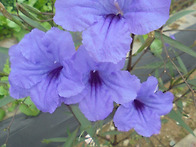 - 영천. 25. 10. 28...