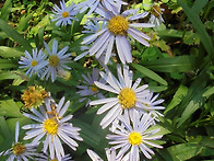 - 영천. 25. 10. 20...