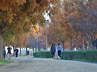 초겨울 산책ㅡ힐링하기 좋..