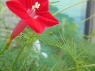 - 영천. 25. 10. 23...