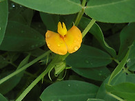 - 영천. 25. 10. 26...