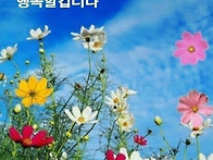 (9.13)토요일에 전하는 힐..