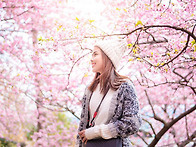 꽃이 피는 날에는