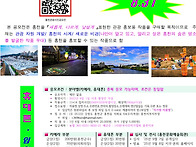 제30회 홍천관광 전국 사..