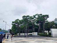 서울나들이