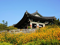 2026세계선교대회 말씀공부