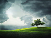 2026년 부활 메시지_아산..