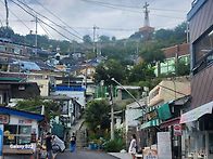 목포 홍도 흑산도 4박 5..