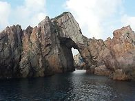 백도