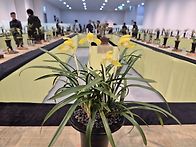 진도난우회 26 봄..