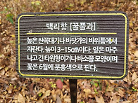 2025년11월 대구 마이크로기행(단풍구경 :..