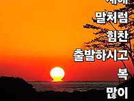 새해 어복충만하여 후기 ..