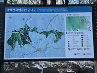 250111 태백산