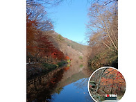 속도전 특수부대팀..