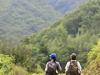 영동 각호산 여름산행 4 ..