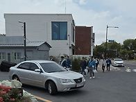 환경보호행사