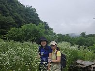 6월20일 충북 단양 금수산..