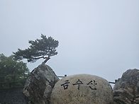 6월 정기산행 금수산