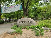 한국을 사랑한 윌..