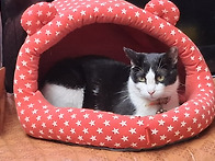 &#127825; 자존감 지키는 경계선 11가지