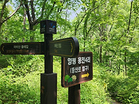 제717차 어비산 계곡산행