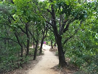 제715차 망우산 산행