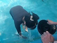 2년만에 간 두리