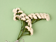 4월 시시콜콜 글쓰기 상담