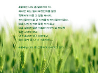 별밤 글쓰기 5월에는 무료..
