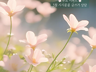 [무료 이벤트] 5월 시시콜..