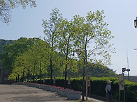 32째. 순례