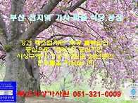 &#128166;25년동안 부..