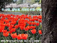 &#9989;부산 주례 주 ..