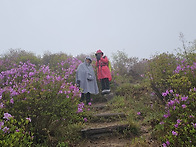 황매산