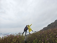 제812차 합천 황매산(20..