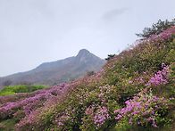 황매산