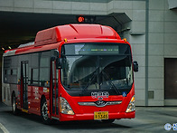 세종시 보조BRT B5번