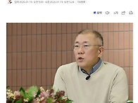 현대자동차 정의선..