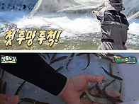 최근 청계천 근황
