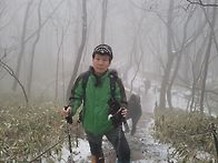 야호오